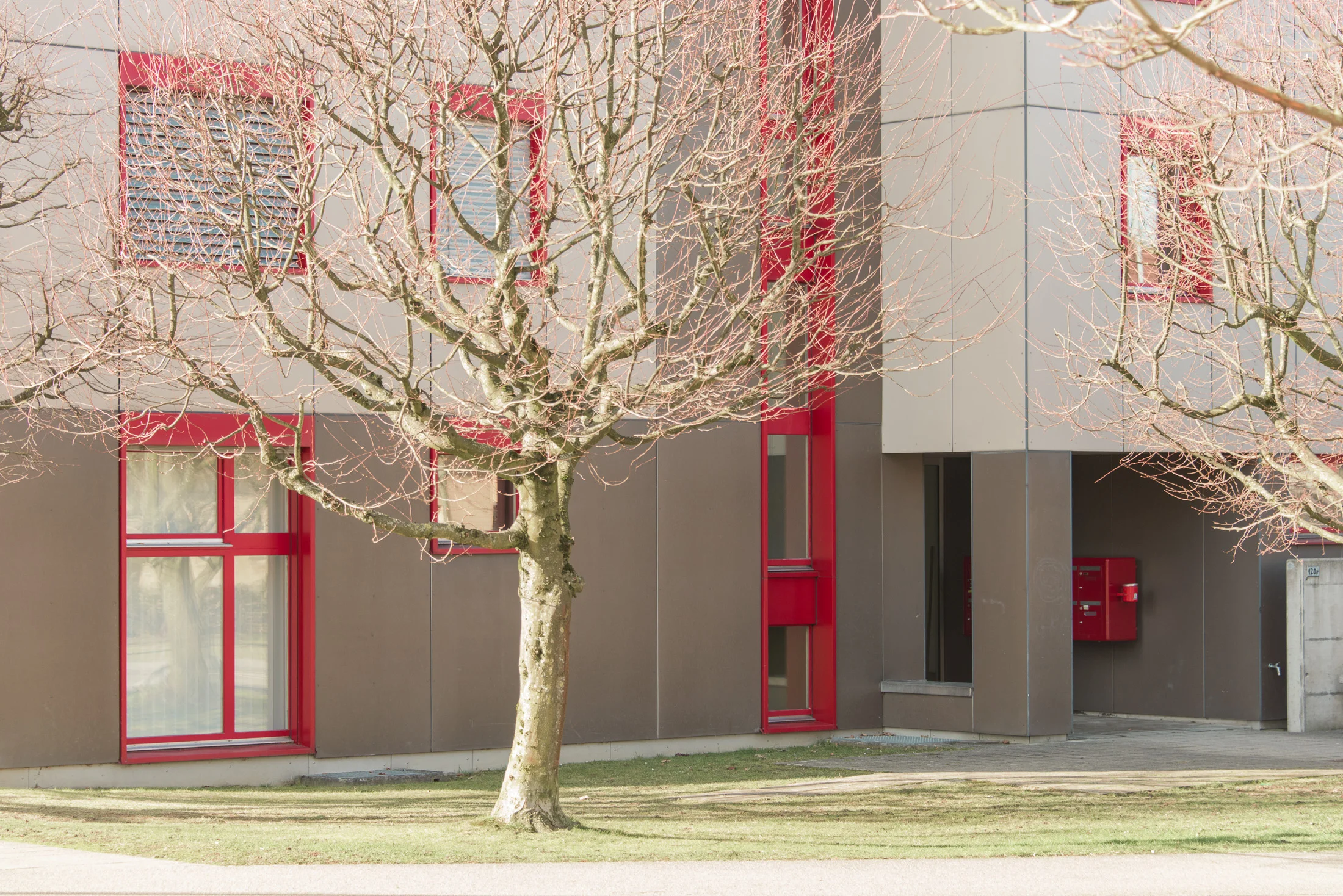 FSP471-MFH-ROTHRIST 0216-186.JPG