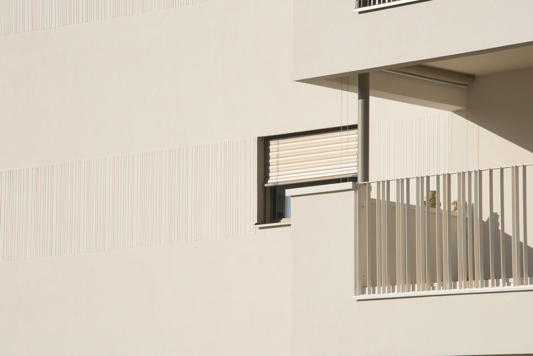 FSP531 RONDO SAFENWIL 0116-241.JPG