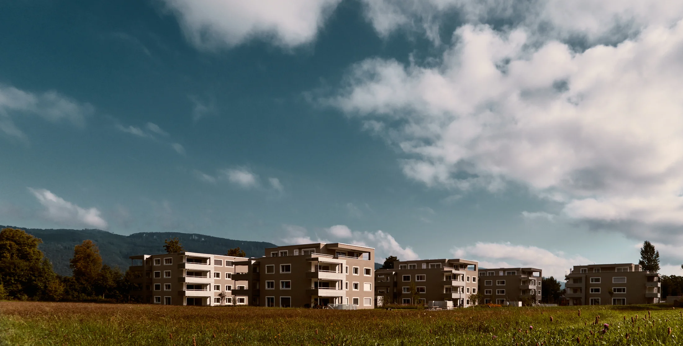 fsp452-weidrain-070817-001.jpg