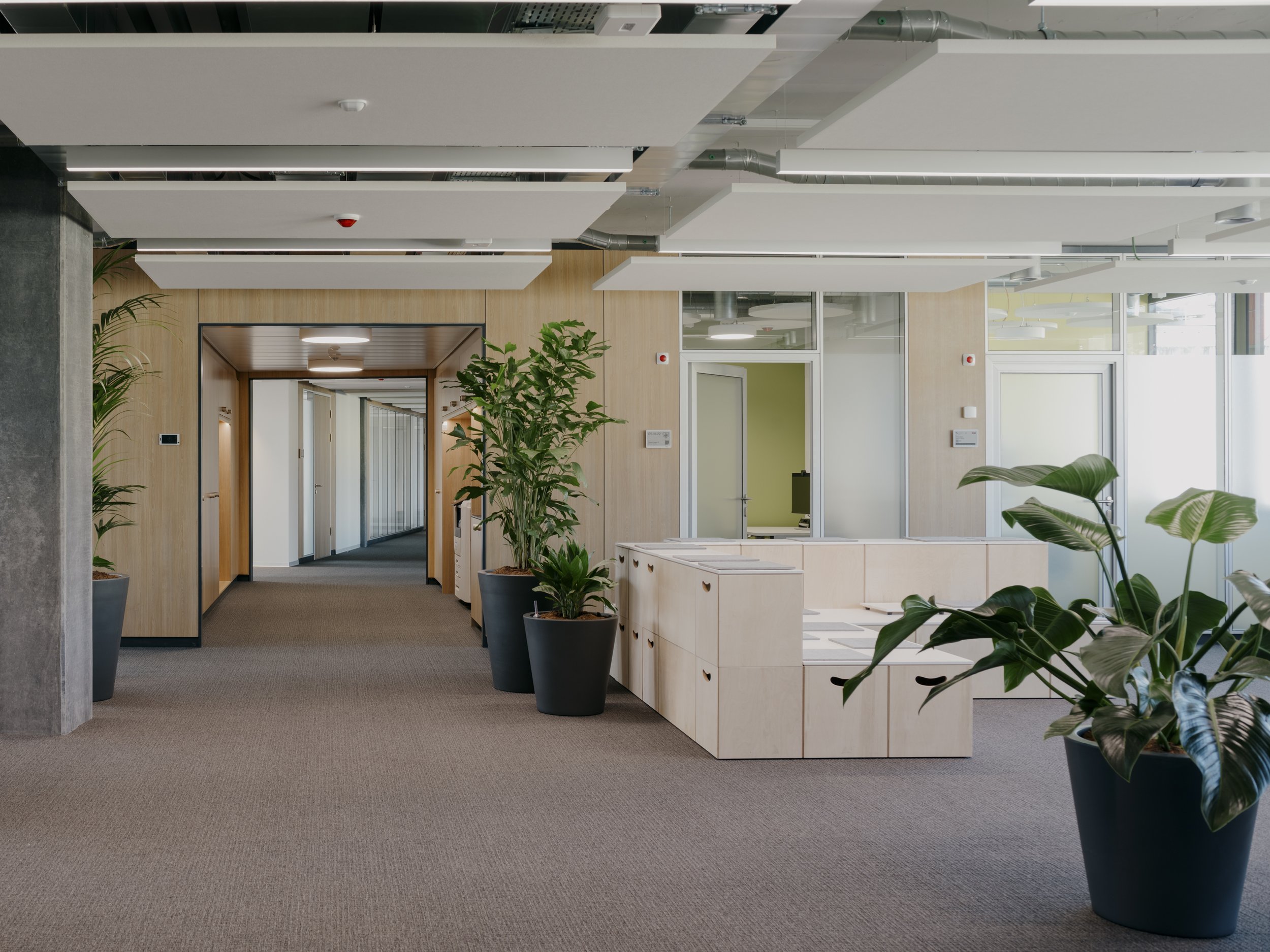 FSP_250306_Powertower_46.jpg