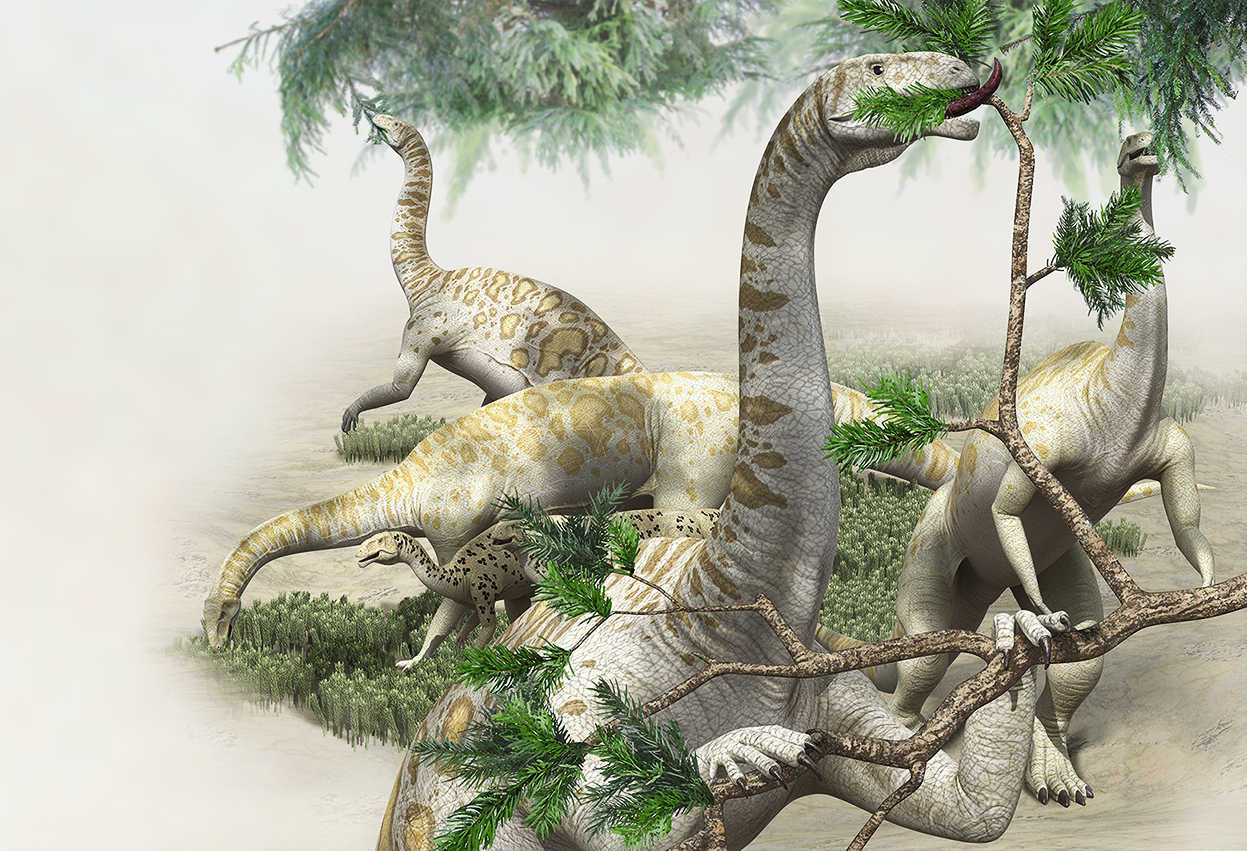 Plateosaurus feeding.