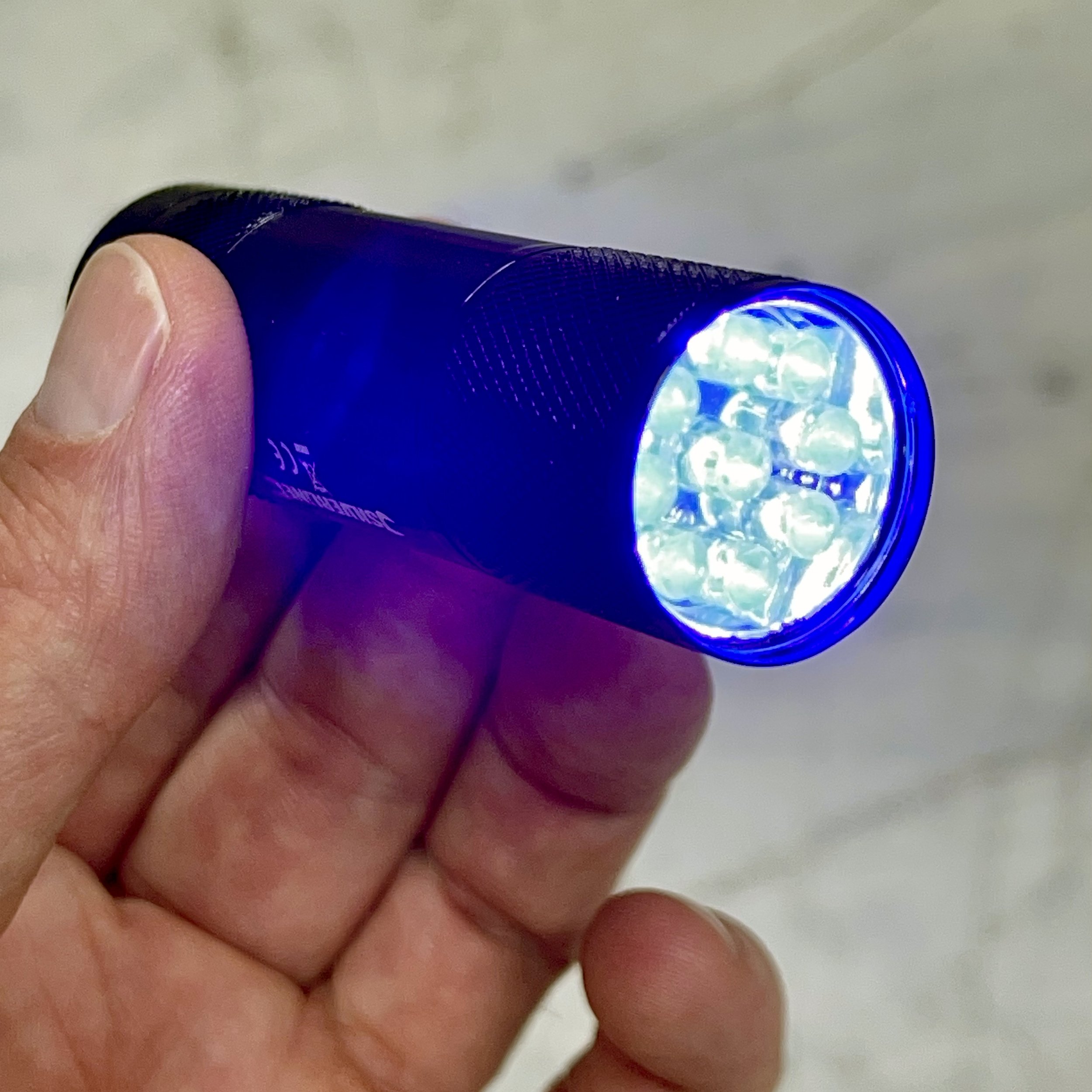 torch 3.jpg