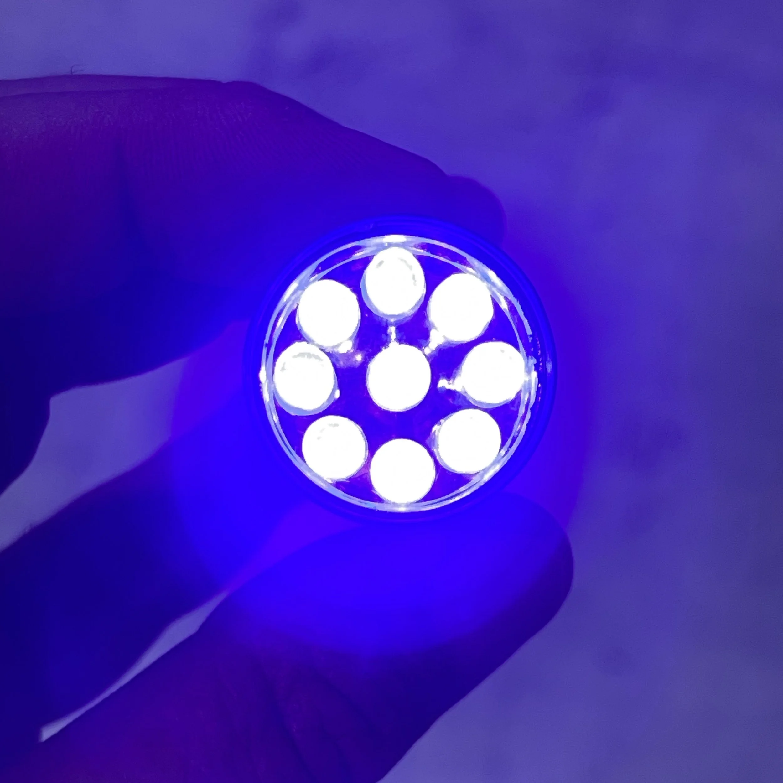 torch 1.jpg
