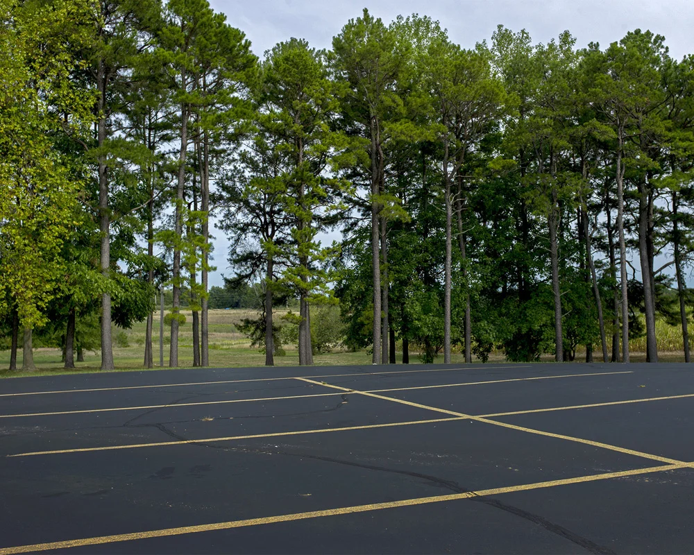 Parking Lot with Conifer Trees. Carbondale, Illinois