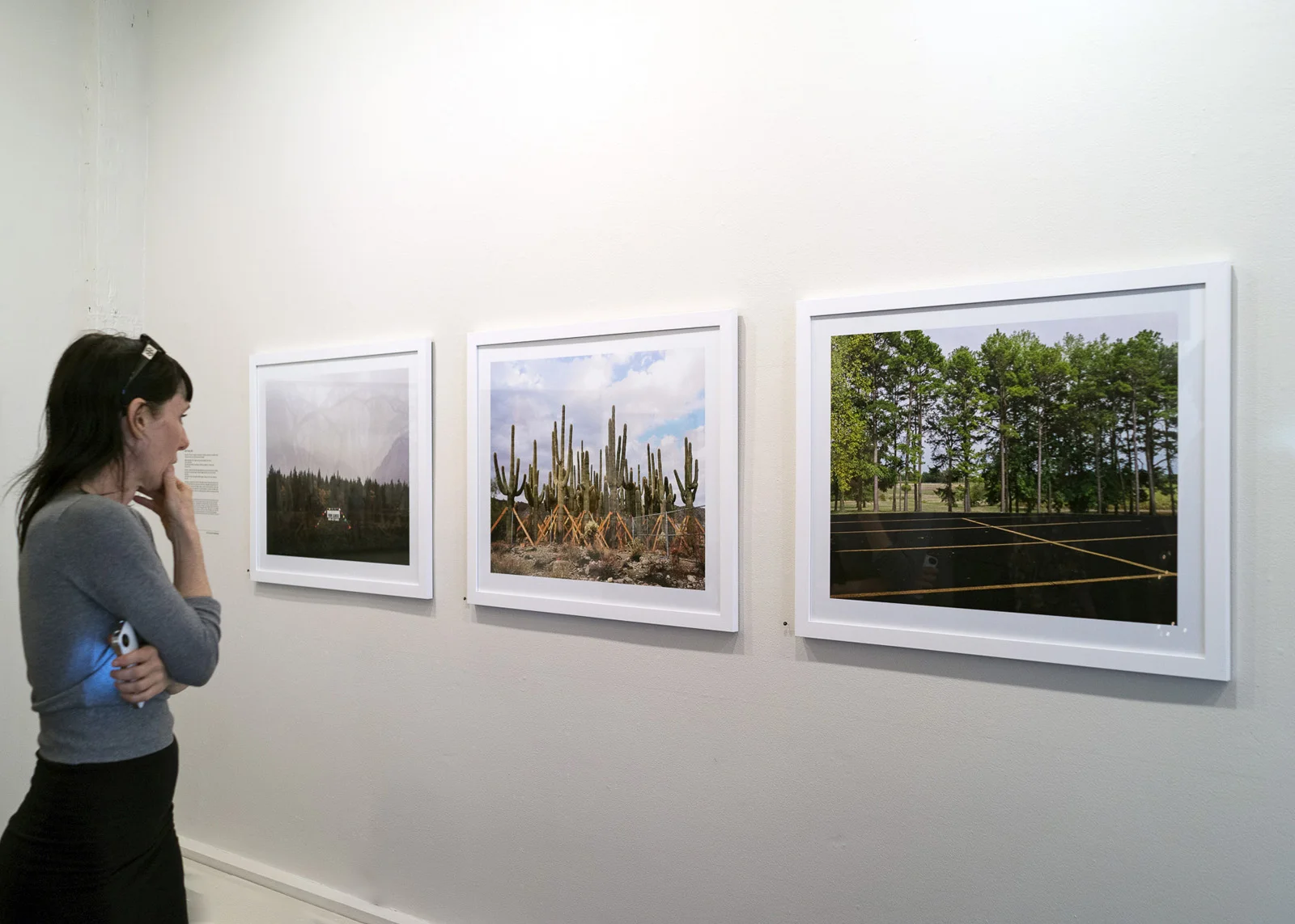 Photography NOW: 2015