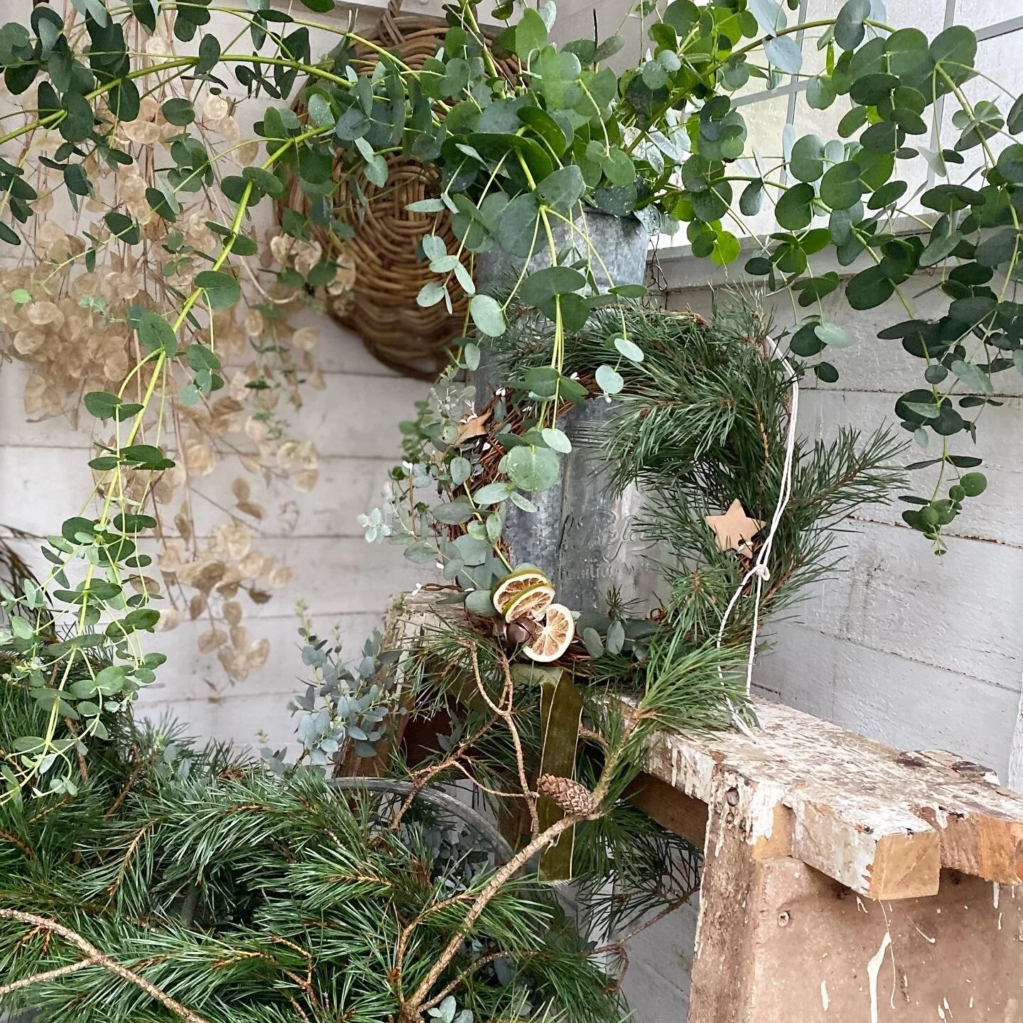 E044A383-F7A0-48AA-ACAA-EF02D16D6EEE