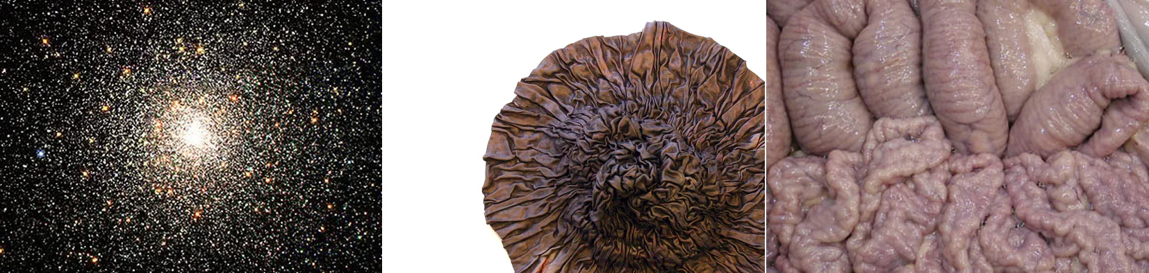 corpus, copper, 2011