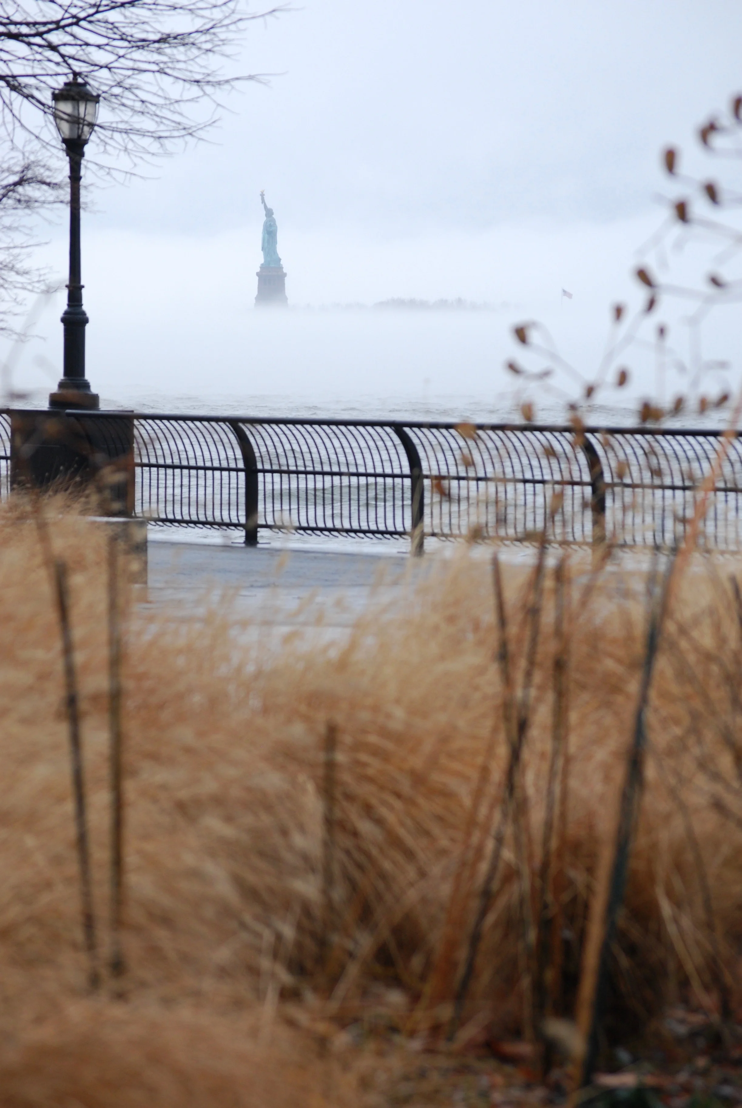 DSC_1909.jpg
