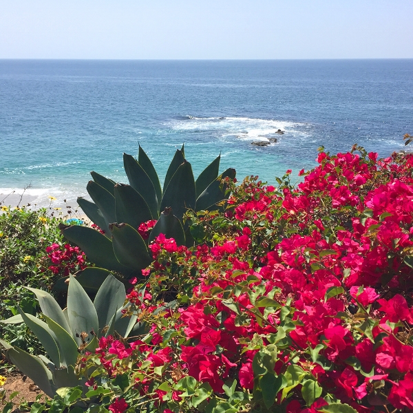 View of Laguna Beach at The Montage.