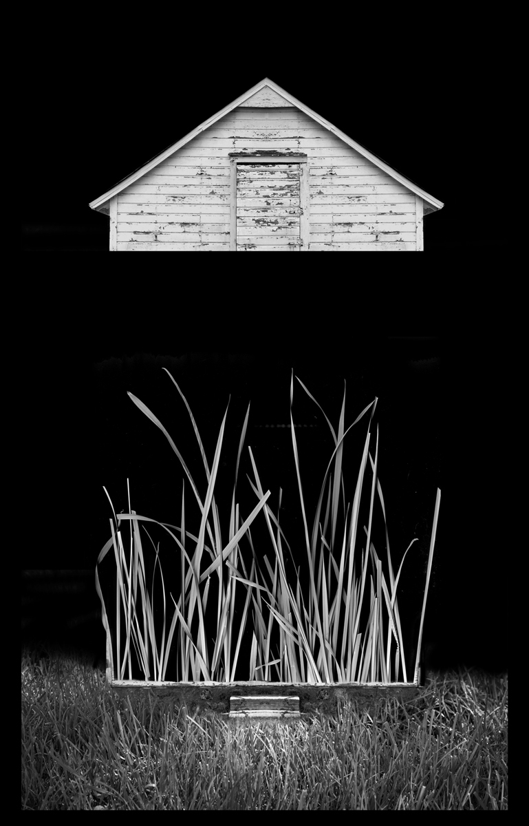 Grass House copy.jpg