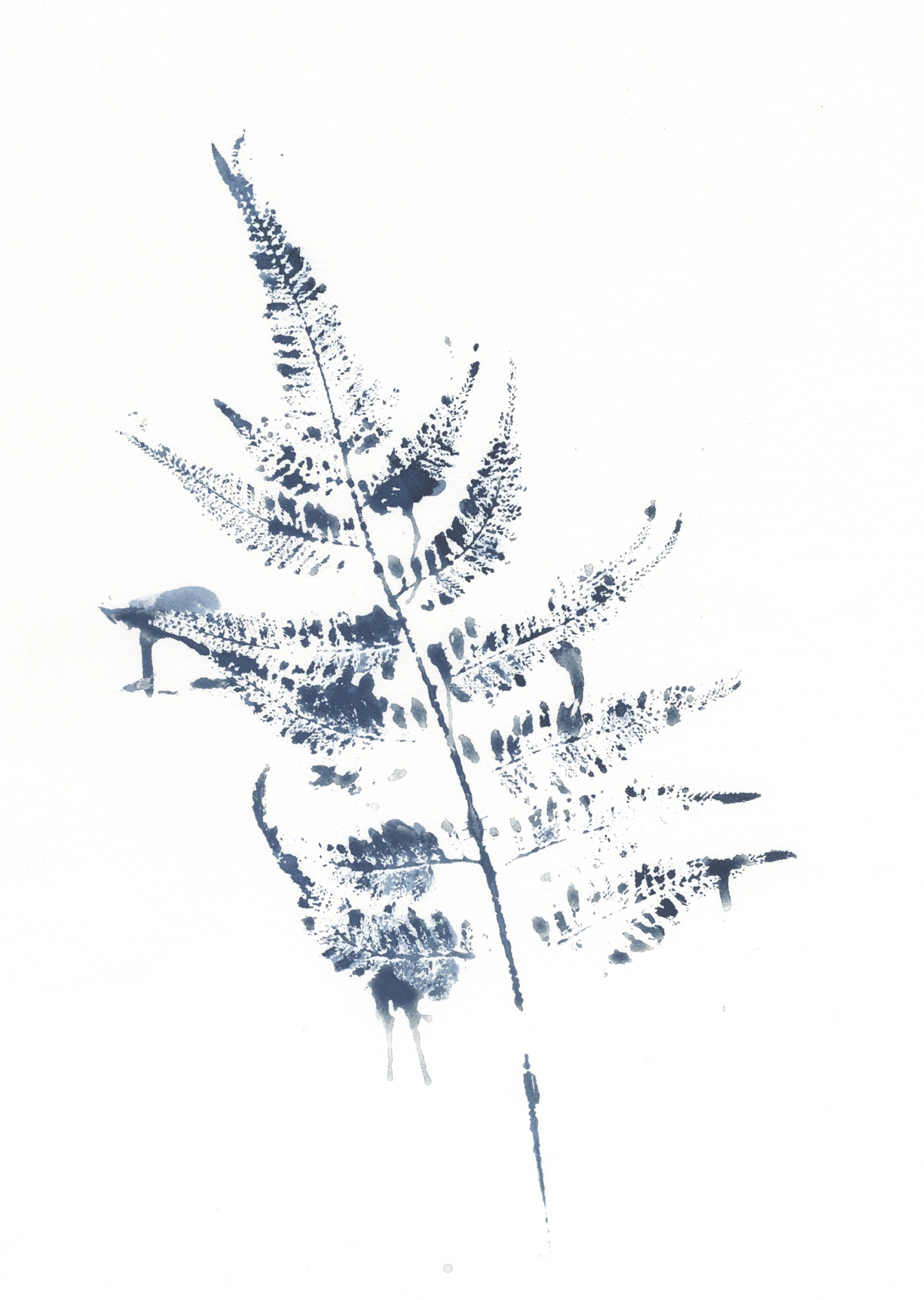 Cyanotype Print #2