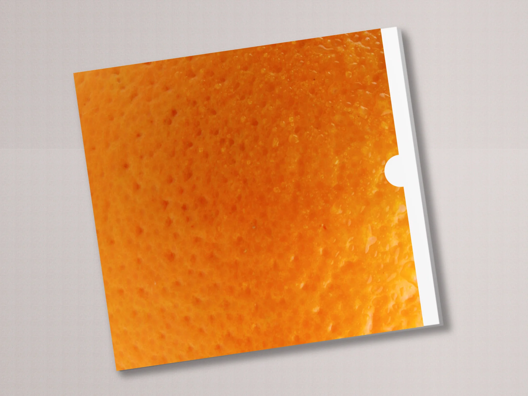 BookCoverorange2.jpg