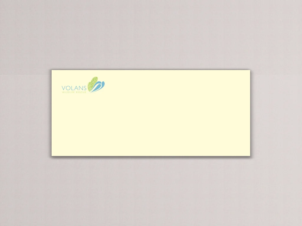 v envelope 1.jpg
