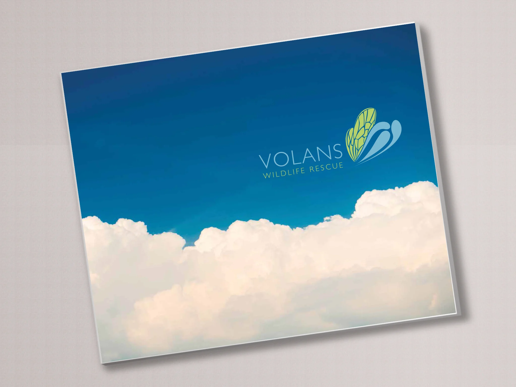 volans book cover.jpg