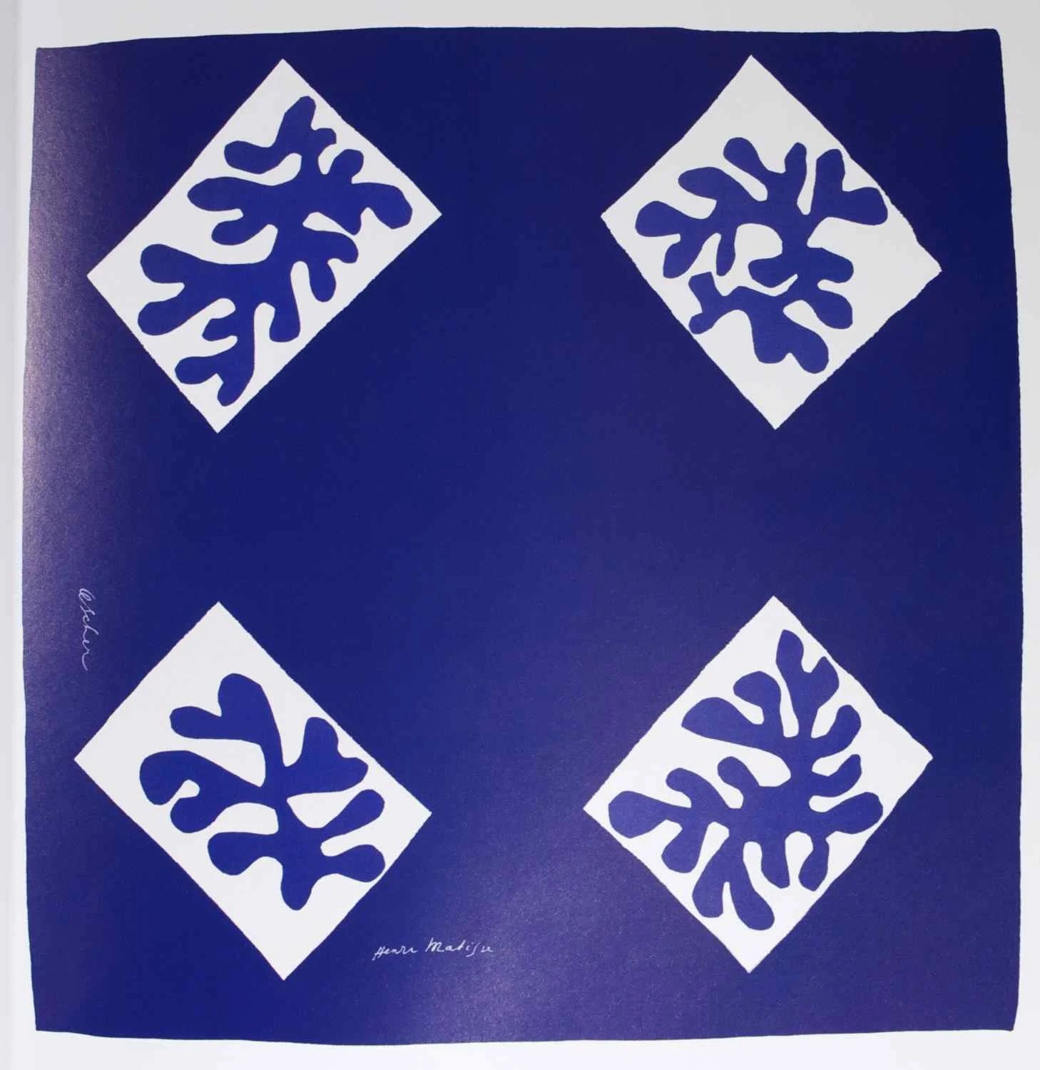 Headscarf by Matisse! Originally a limited-edition collection of only 247 pieces.