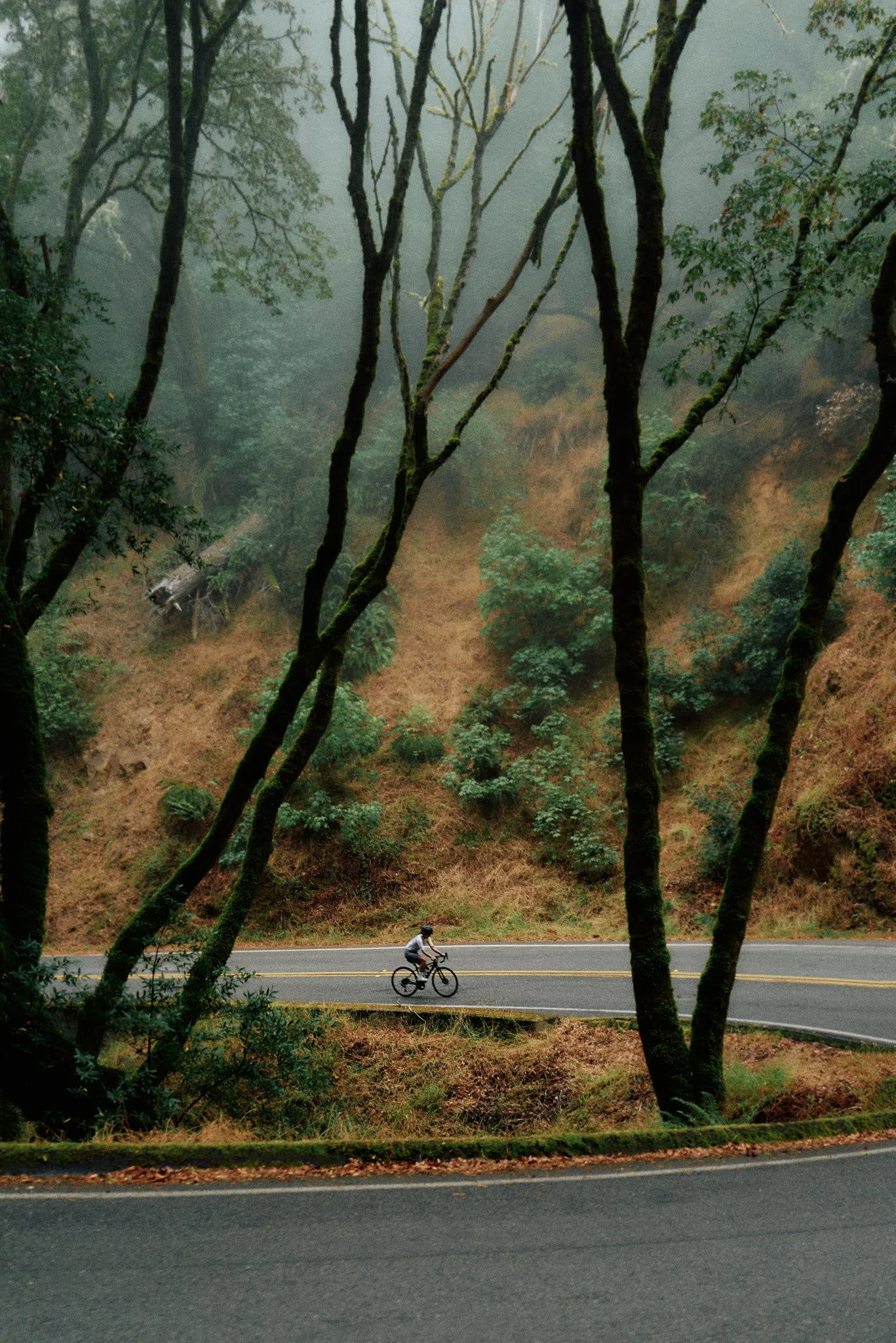 240824_MEP Cycling_Q2_1110 copy 1.jpg