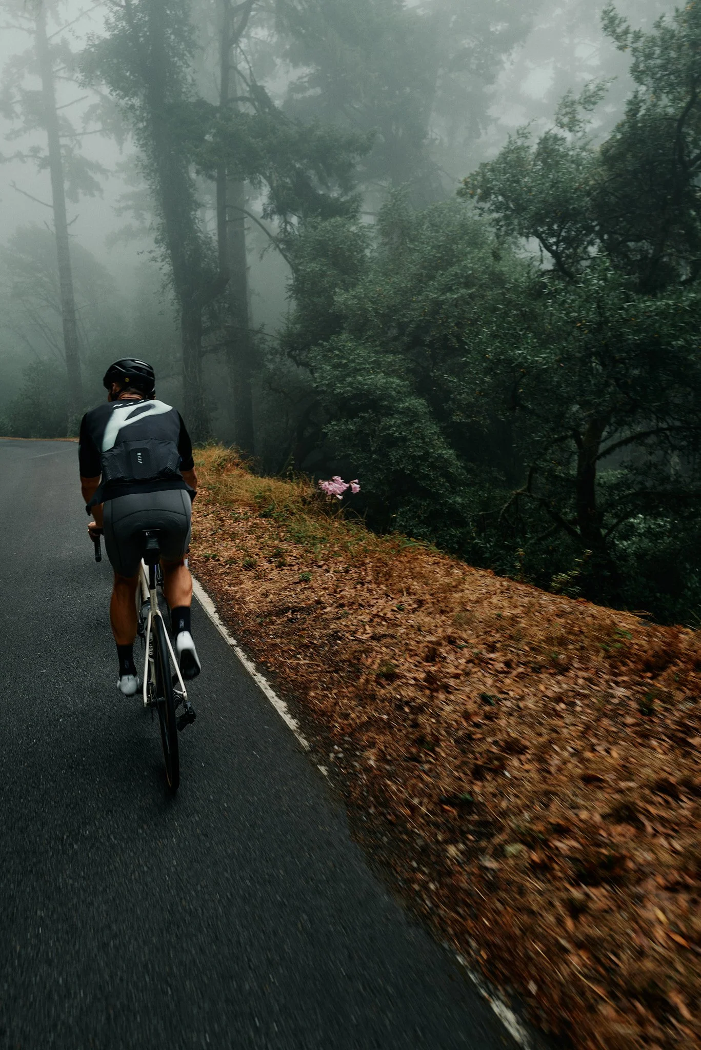 240824_MEP Cycling_Q2_1019 1.jpg