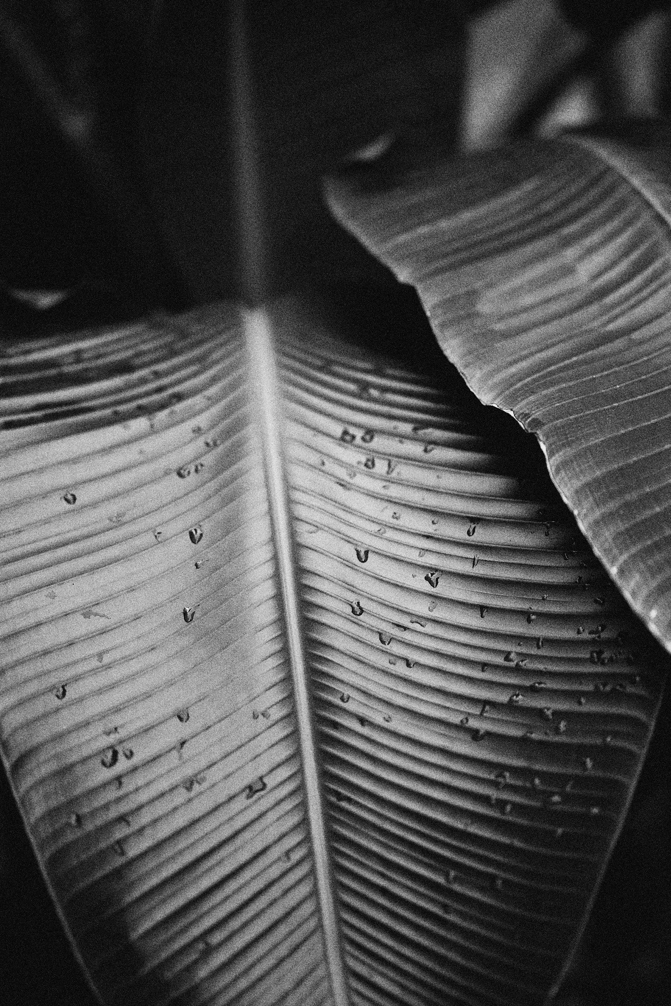 200813_Florida_Sony_0964 1 1.jpg