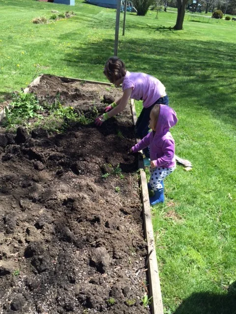 Library Seedling Progress!