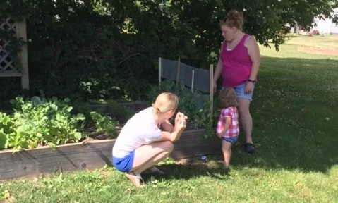 Peas fresh from the garden!