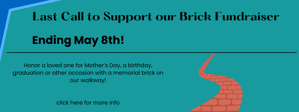 bricks last call (1000 x 375 px).png