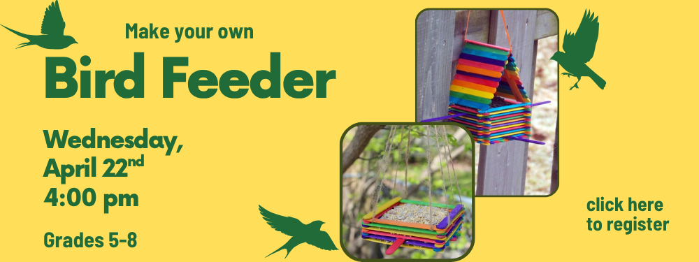 bird feeder for web.png