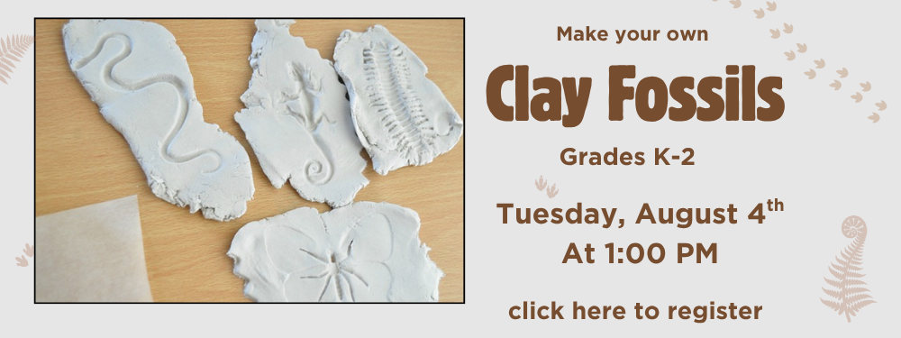 Clay Fossils web.png