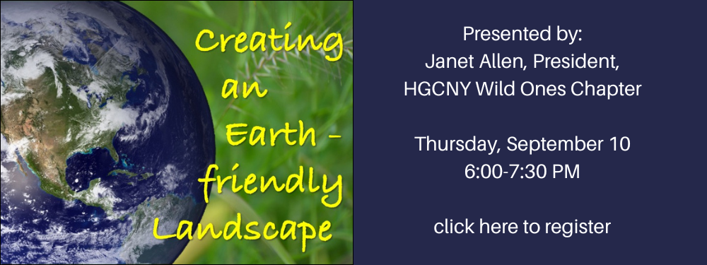earth friendly web.png