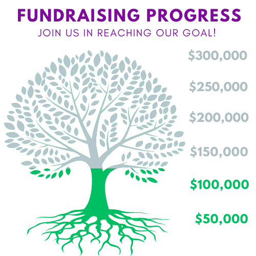 Fundraising Progress Guide Capital Project Donations — Tully Free Library