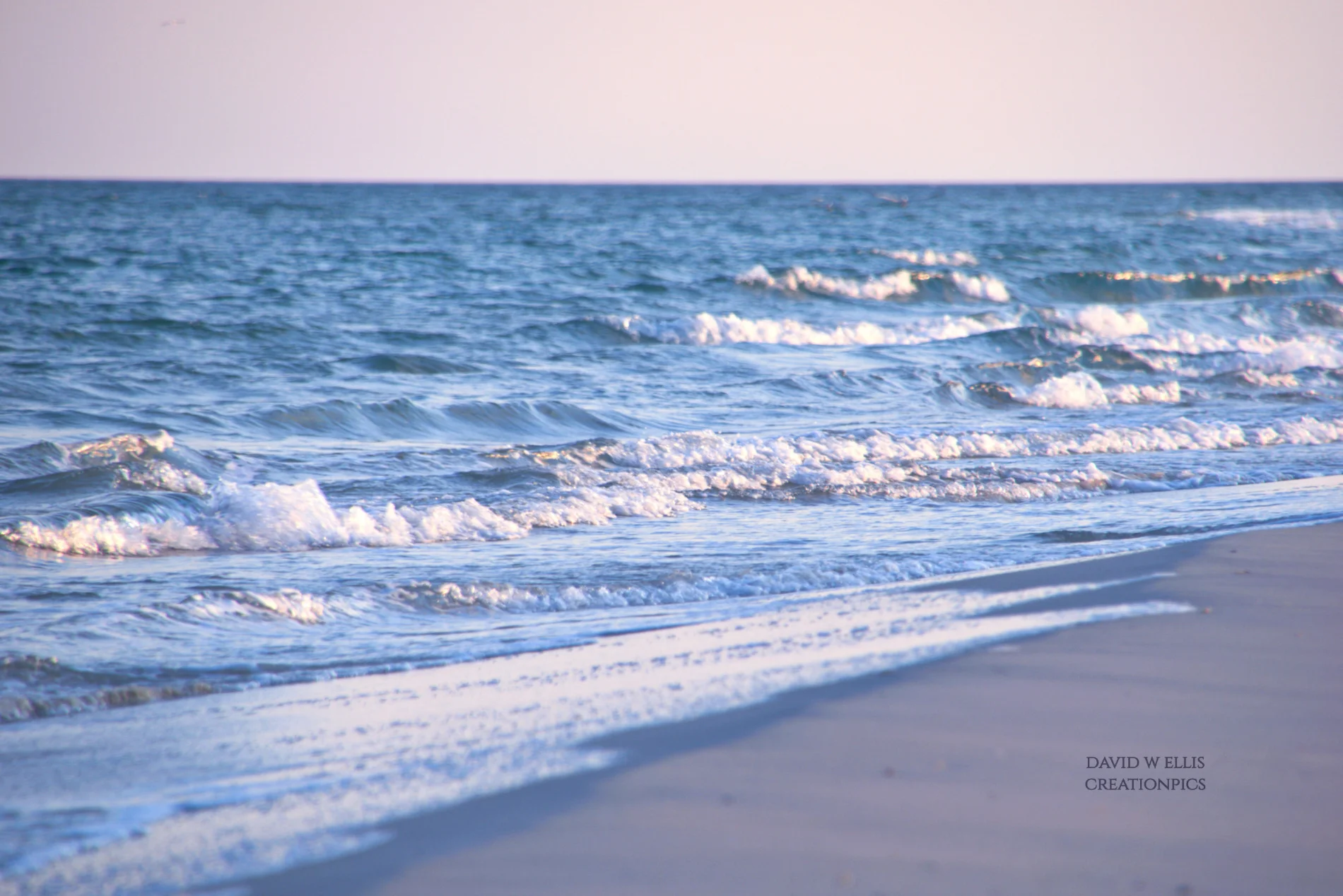 In the Hollow of His Hand