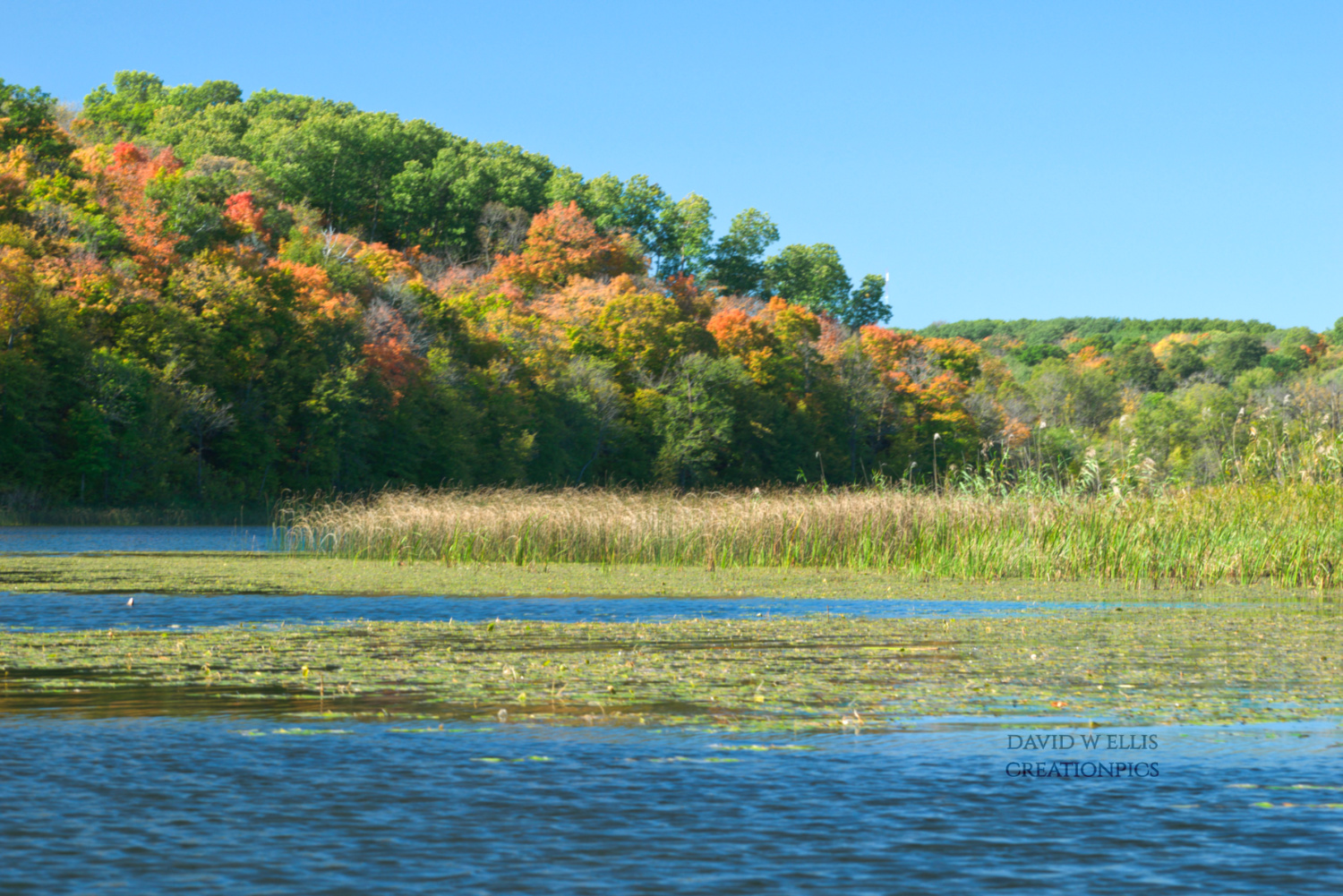 "Everything is Just Right"