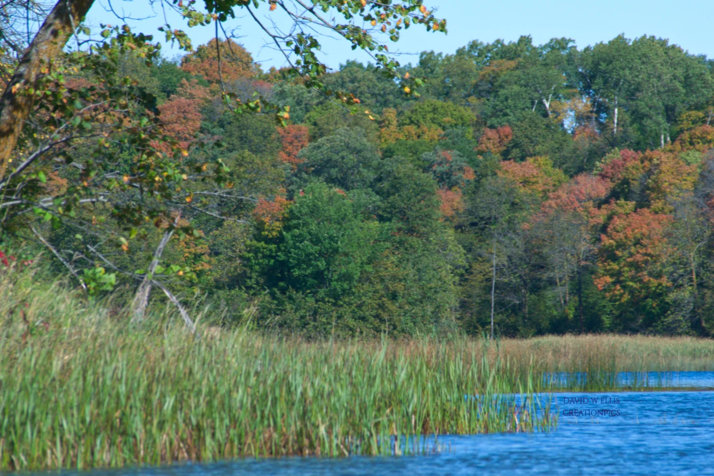 "Unplug" Your Family 1