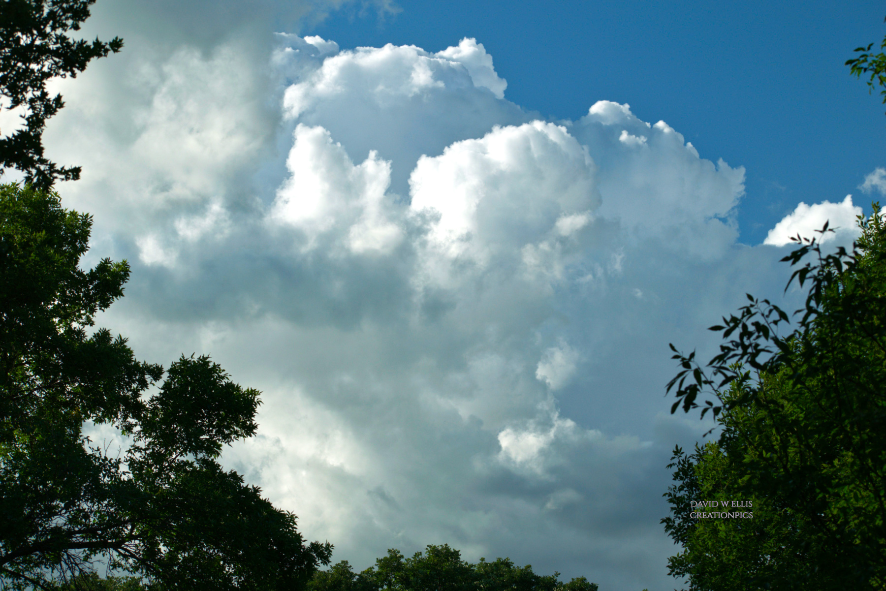 Sculptures of the Heavens