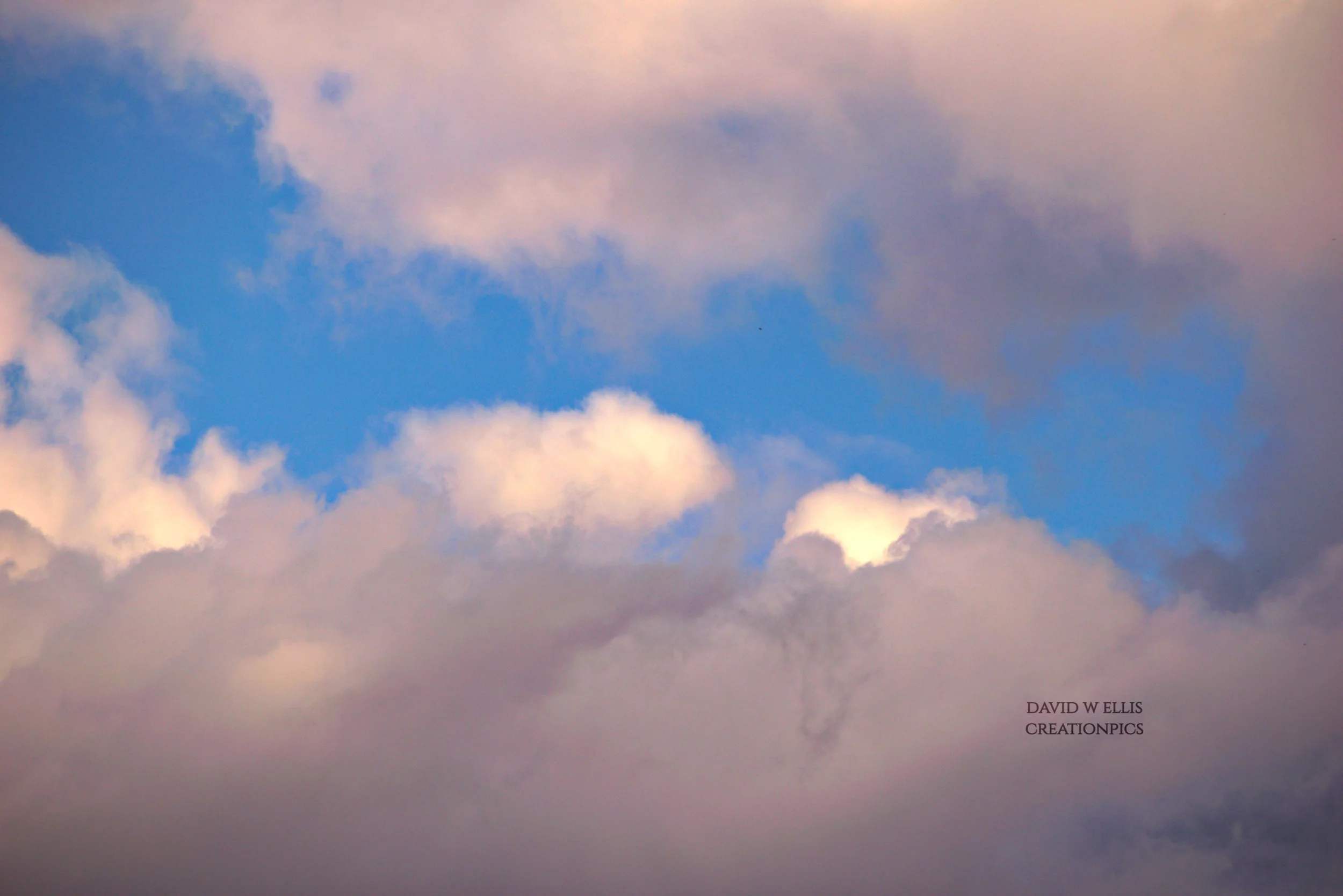 “Comfort in Sovereignty”