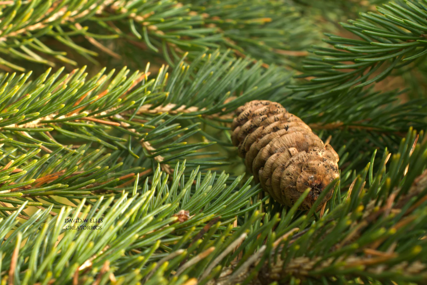 How Things Are Doing