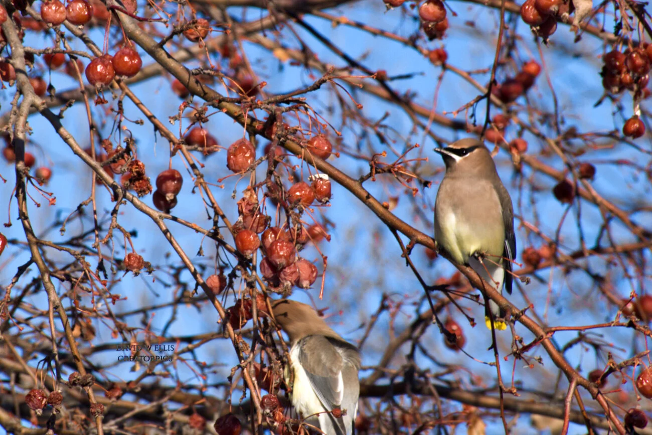 We've Heard of Your Fame