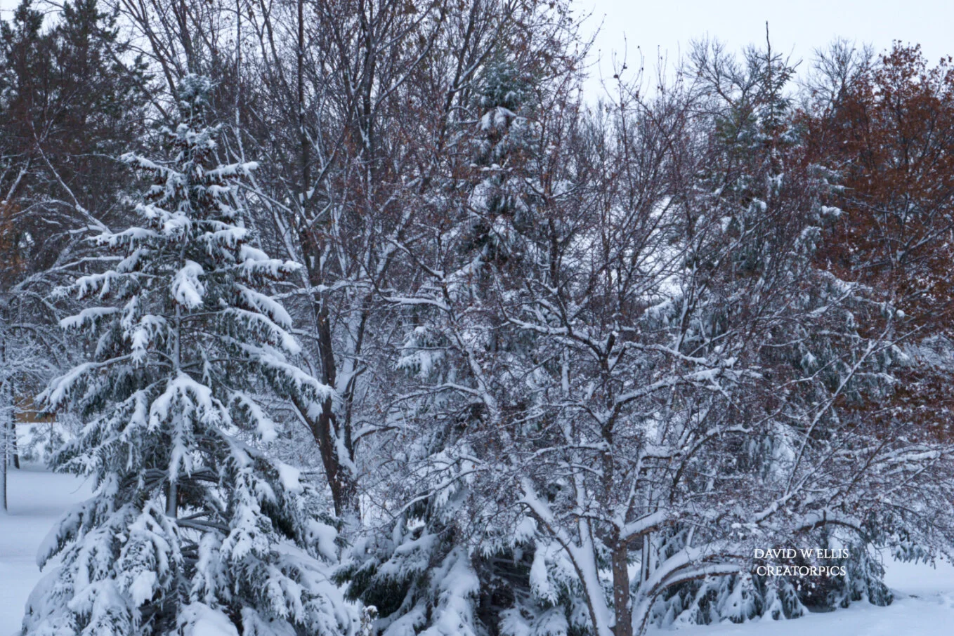 The Abundance Resolution