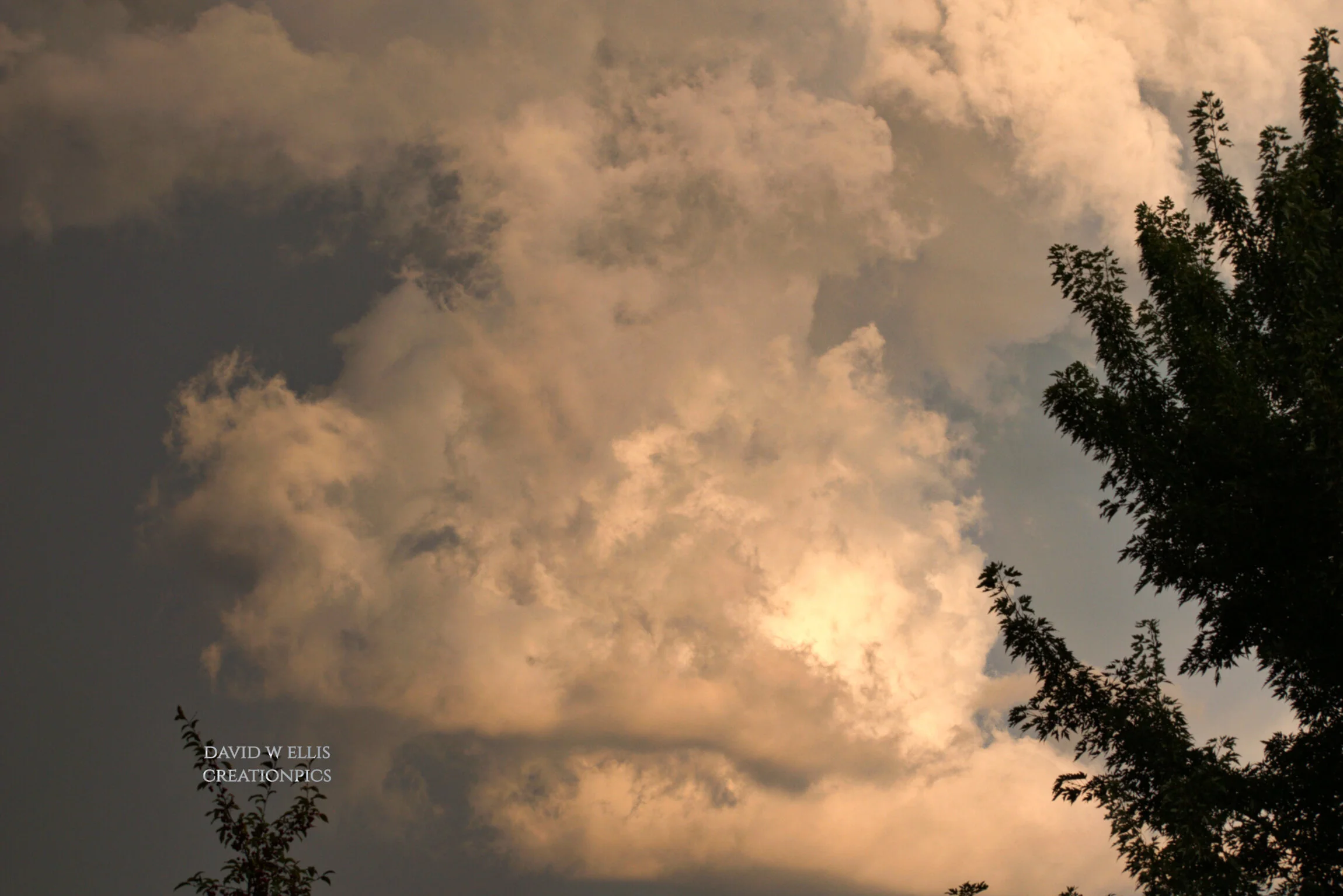 Delusions of Grandeur