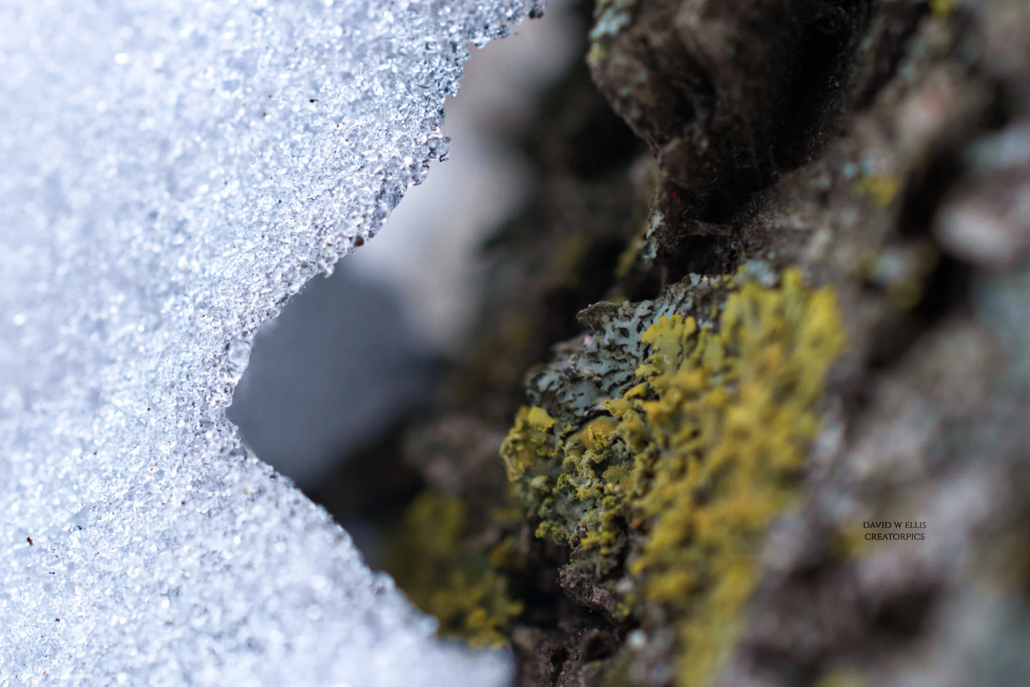 Take a Winter Walk With Me