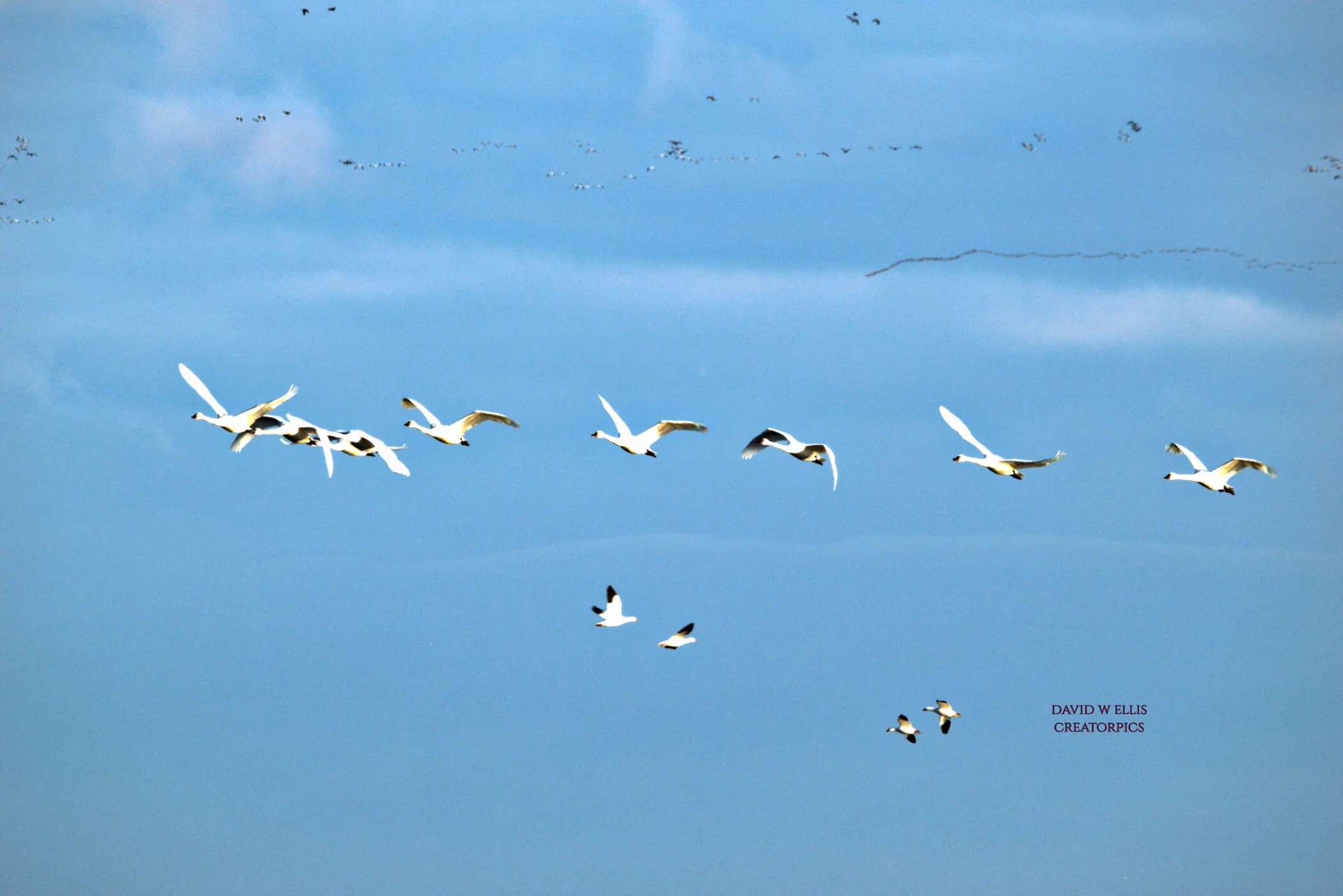 Certain, Undeniable, Guaranteed