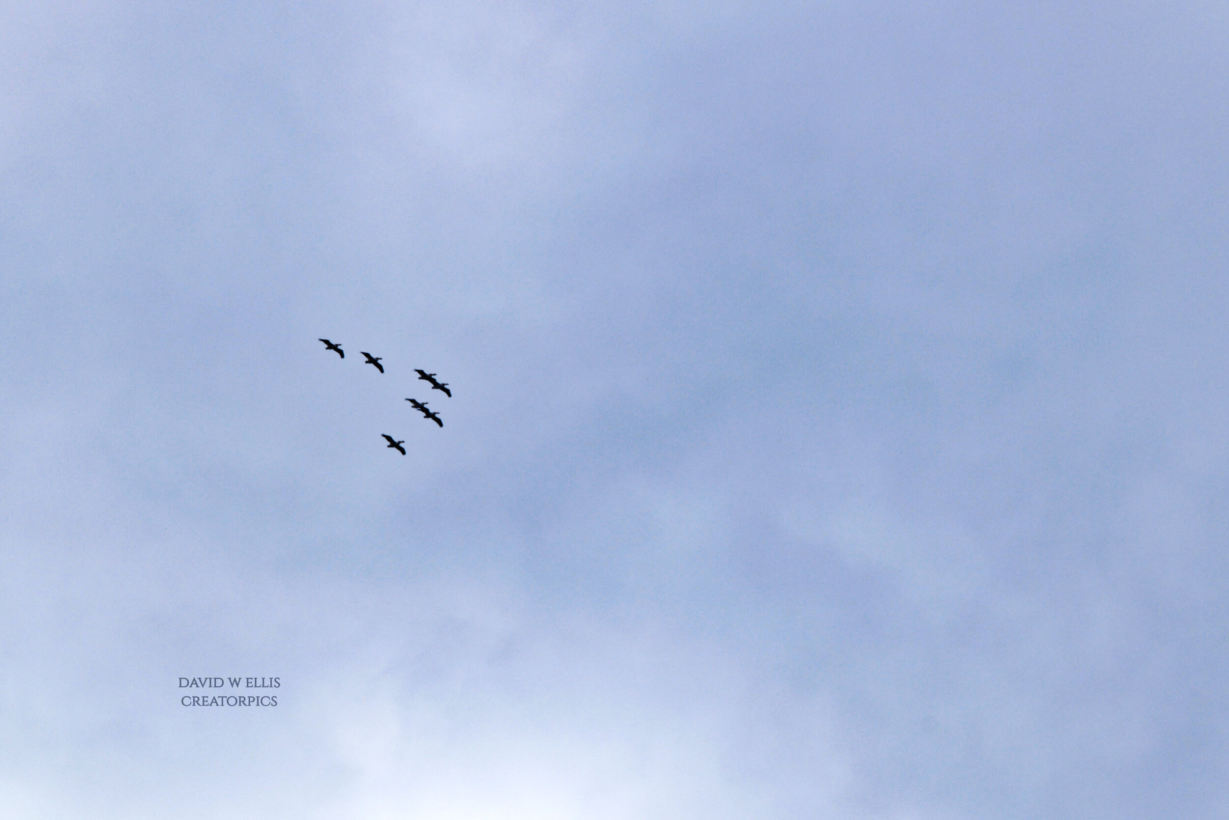 Ask, They Will Tell You