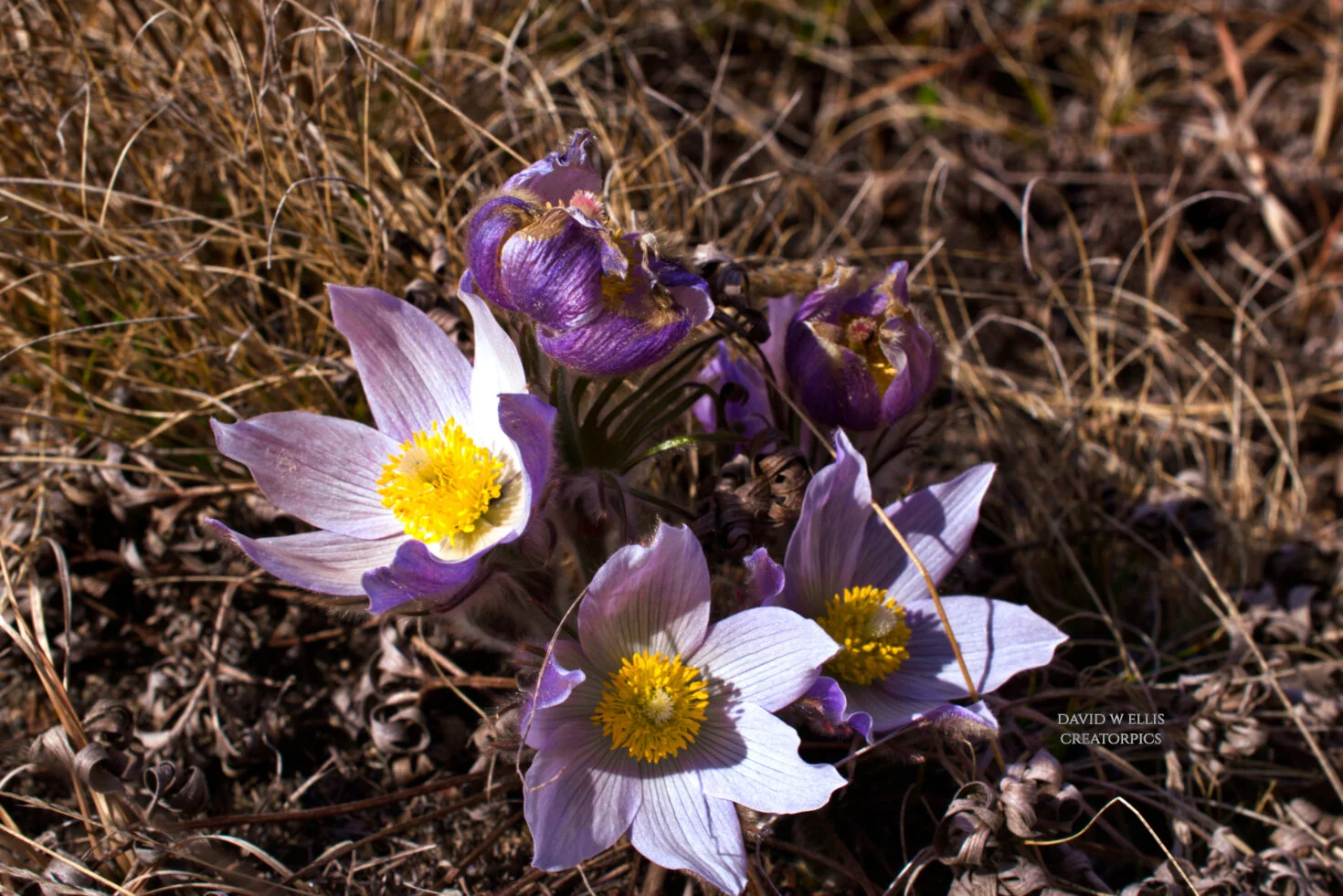 Play the Game..."4 Questions"