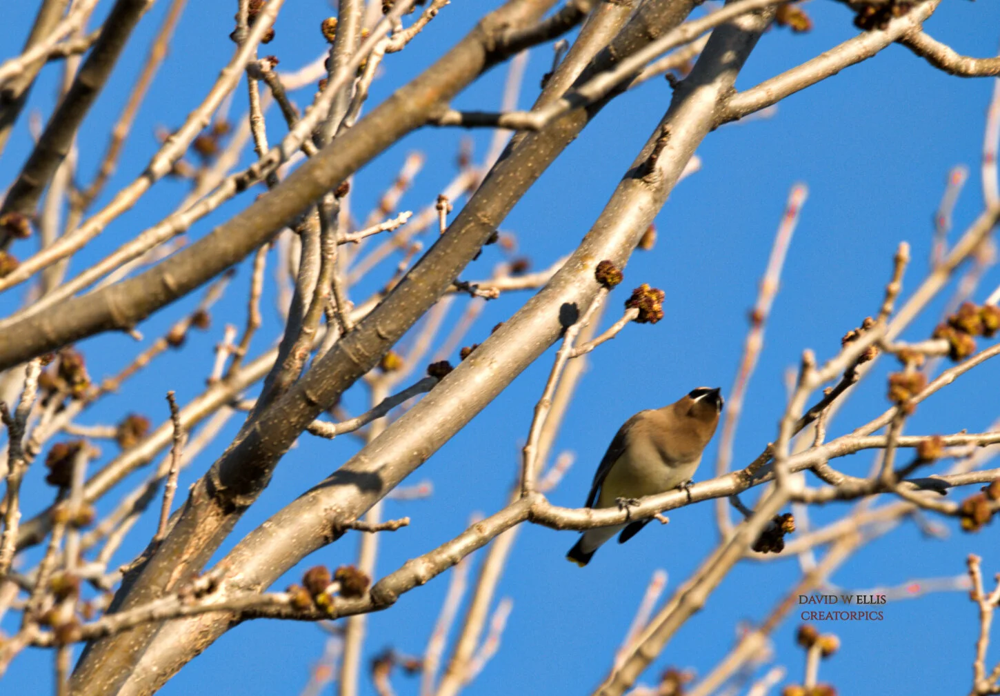 Sugar POWER and Hope