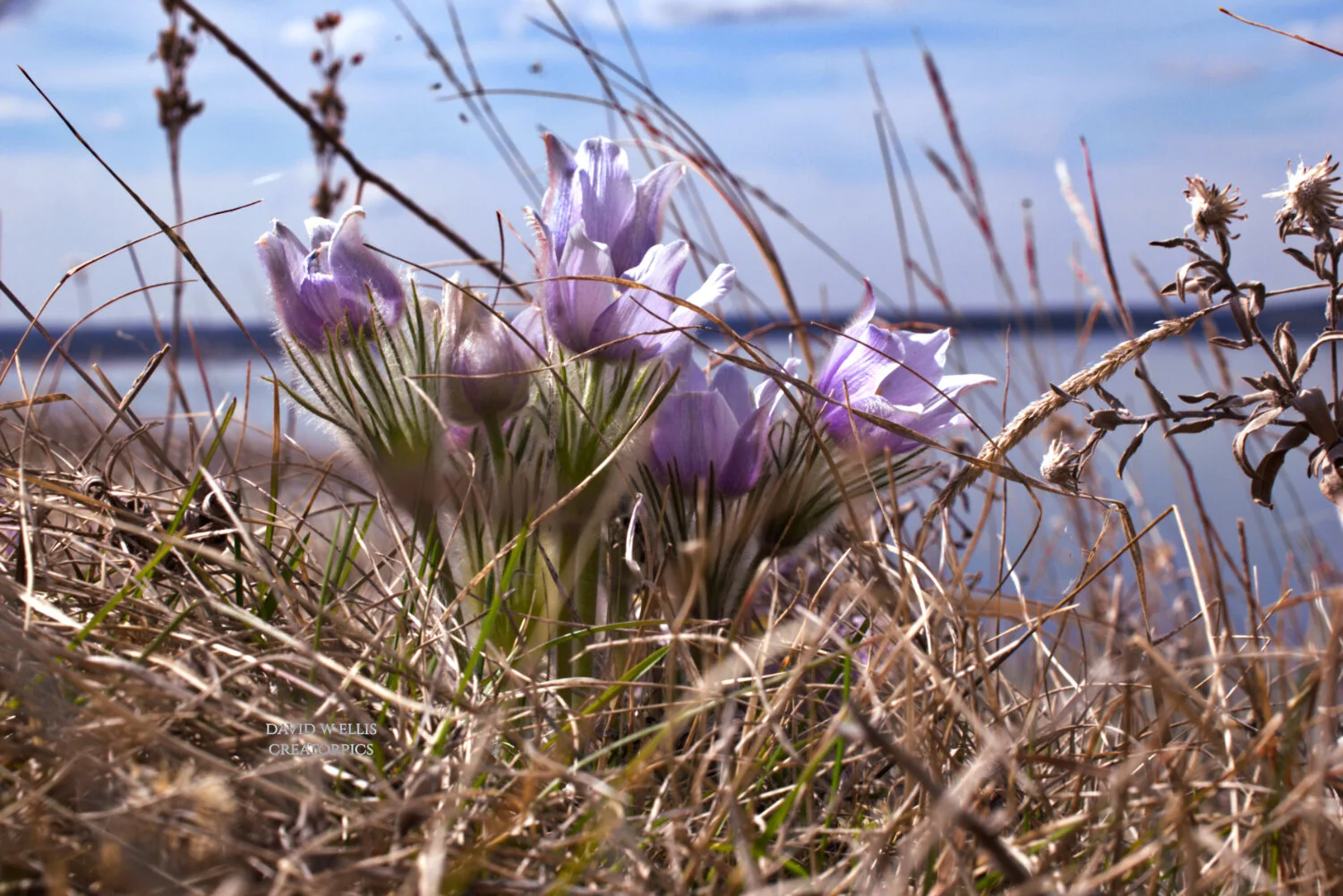 Number 9...One Remains