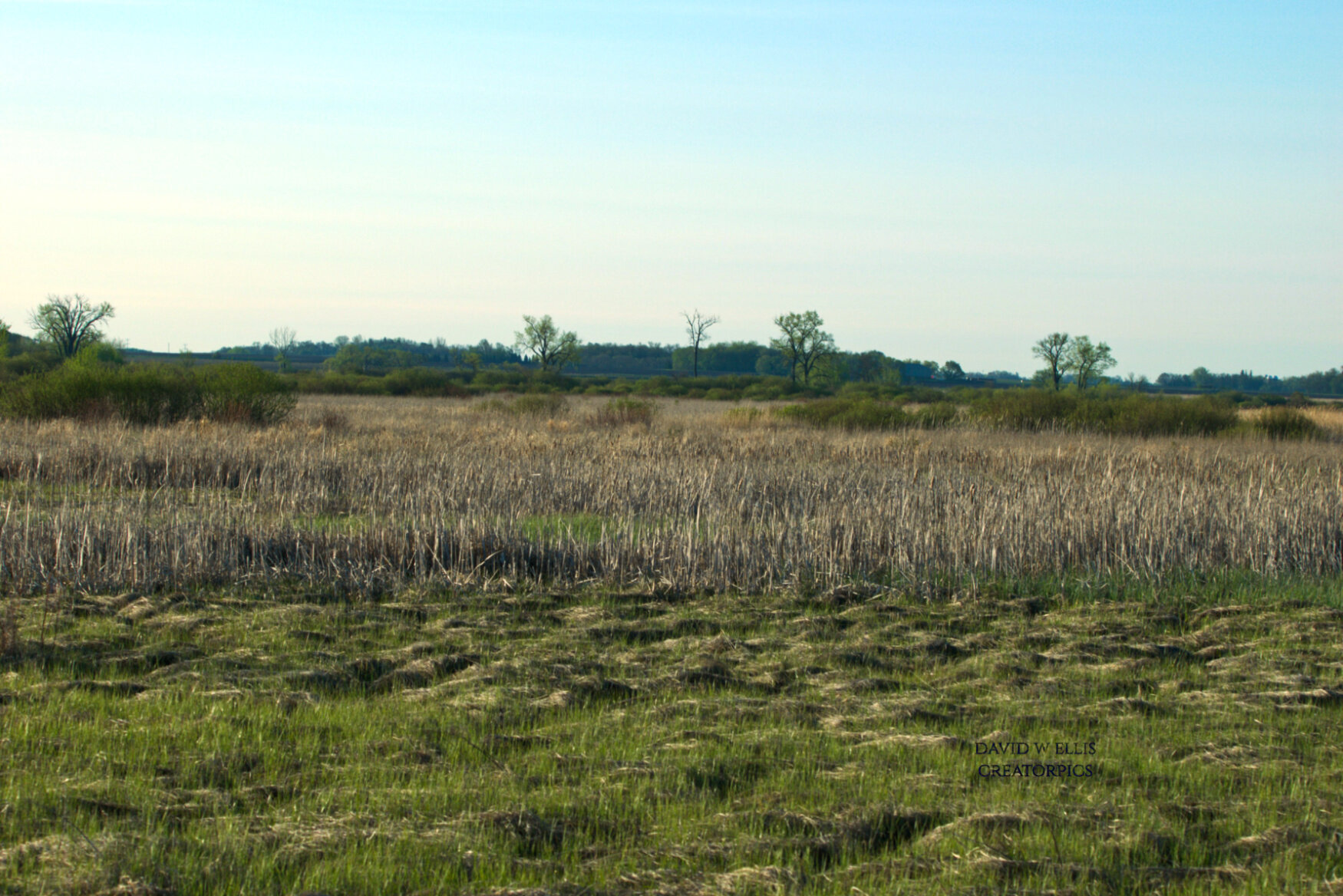 When Seeing is Believing