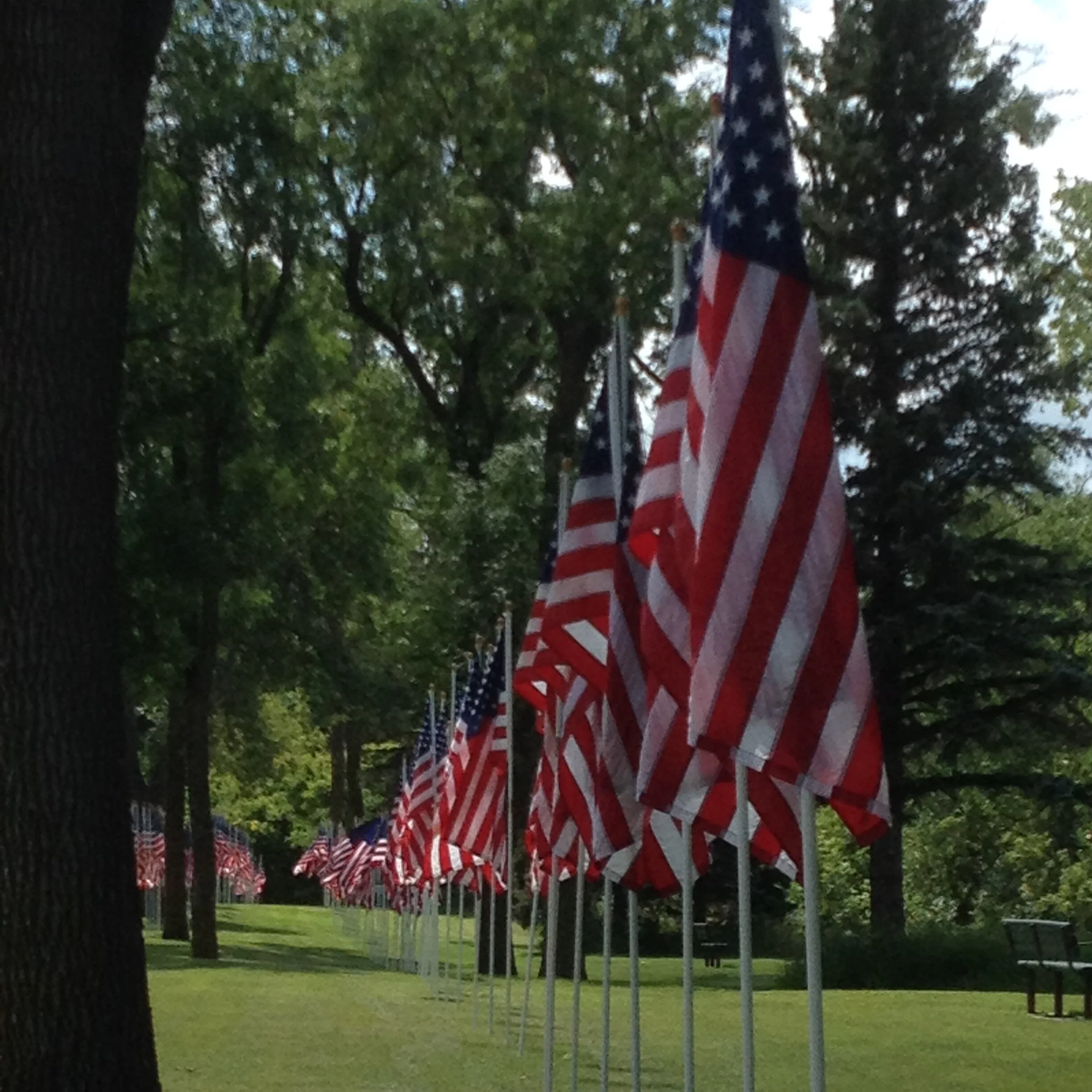 Two Kinds of Freedom