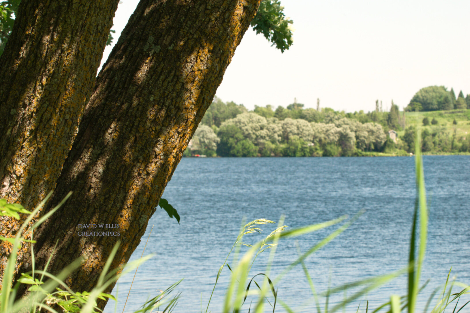  One Wish-What Would You Ask?