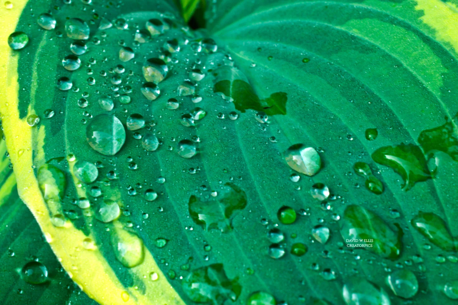 “It Passes Understanding”