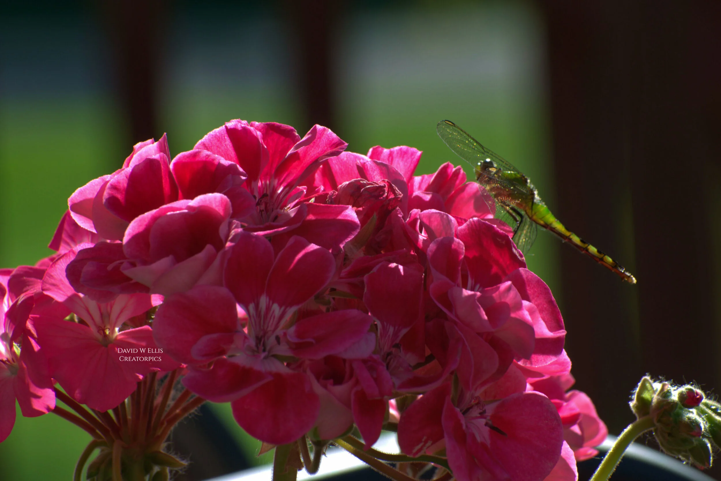 Keeping Your Appointment