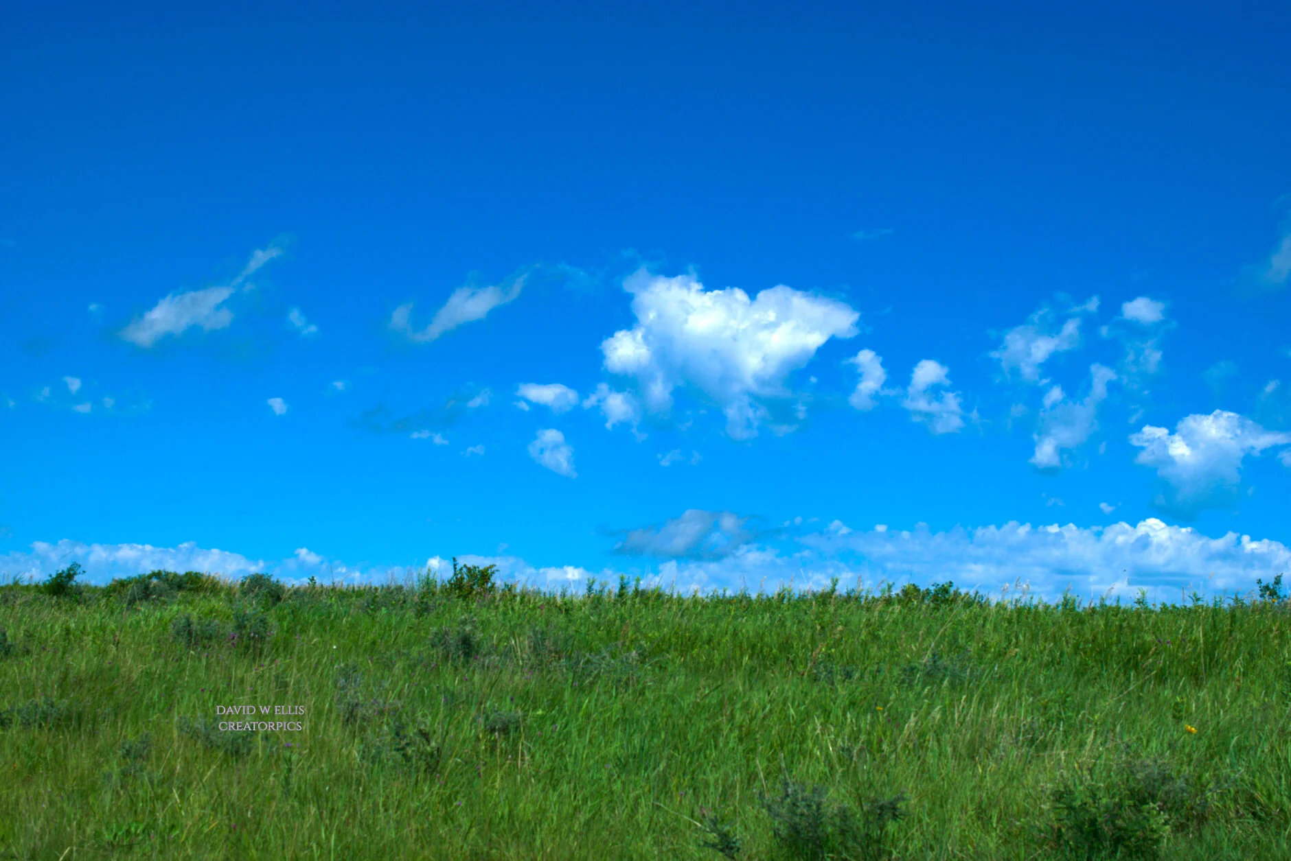 Contentment-Is Missing